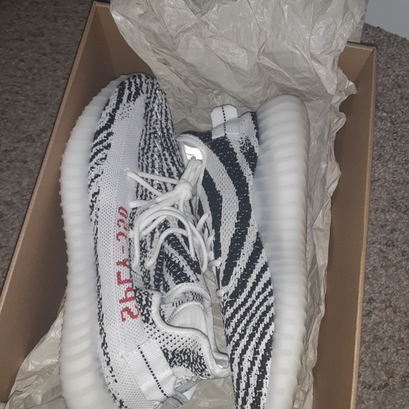 yeezy zebra 10